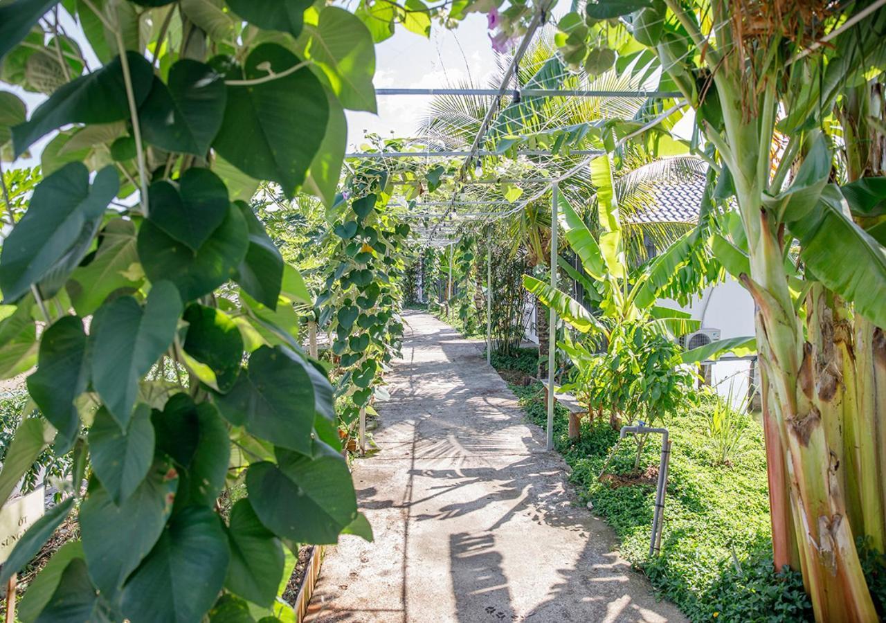 Lua Farmstay Bà Rịa Ngoại thất bức ảnh